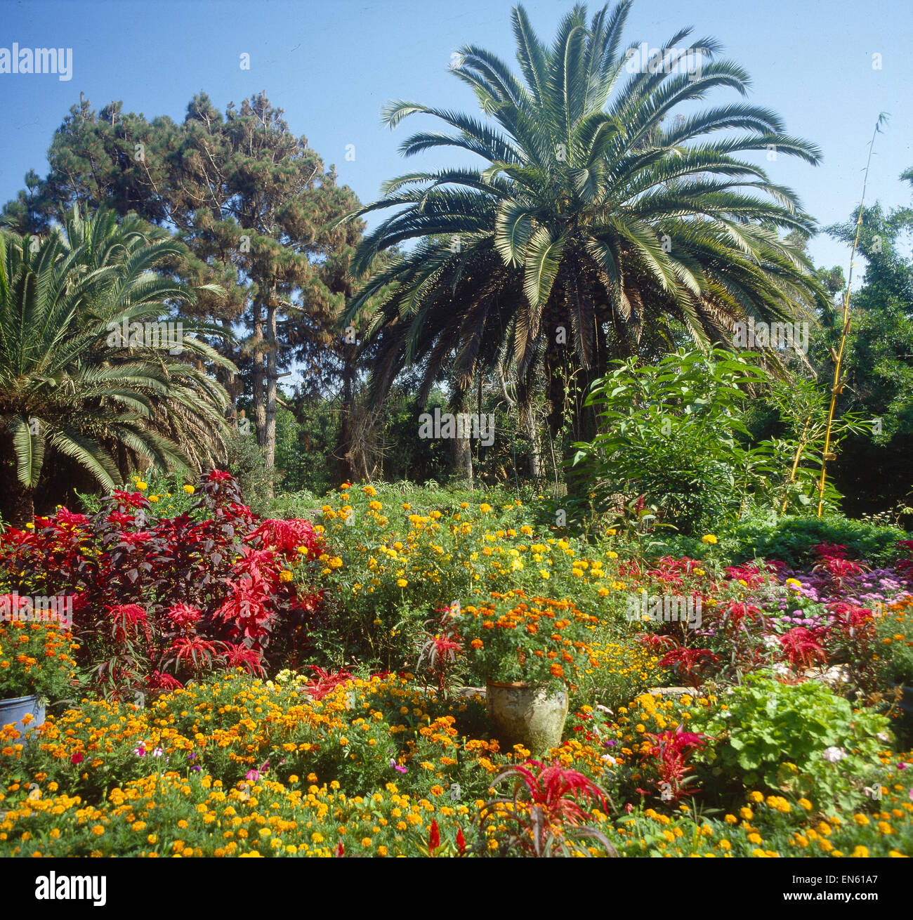 Marokko, Botan, Garten bei Rabat Stock Photo