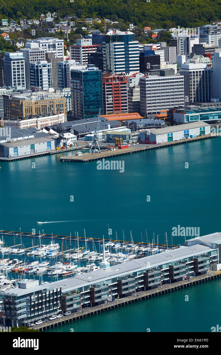 View of Wellington CBD, harbour and Chaffers Marina, from Mount Victoria Lookout, Wellington, North Island, New Zealand Stock Photo