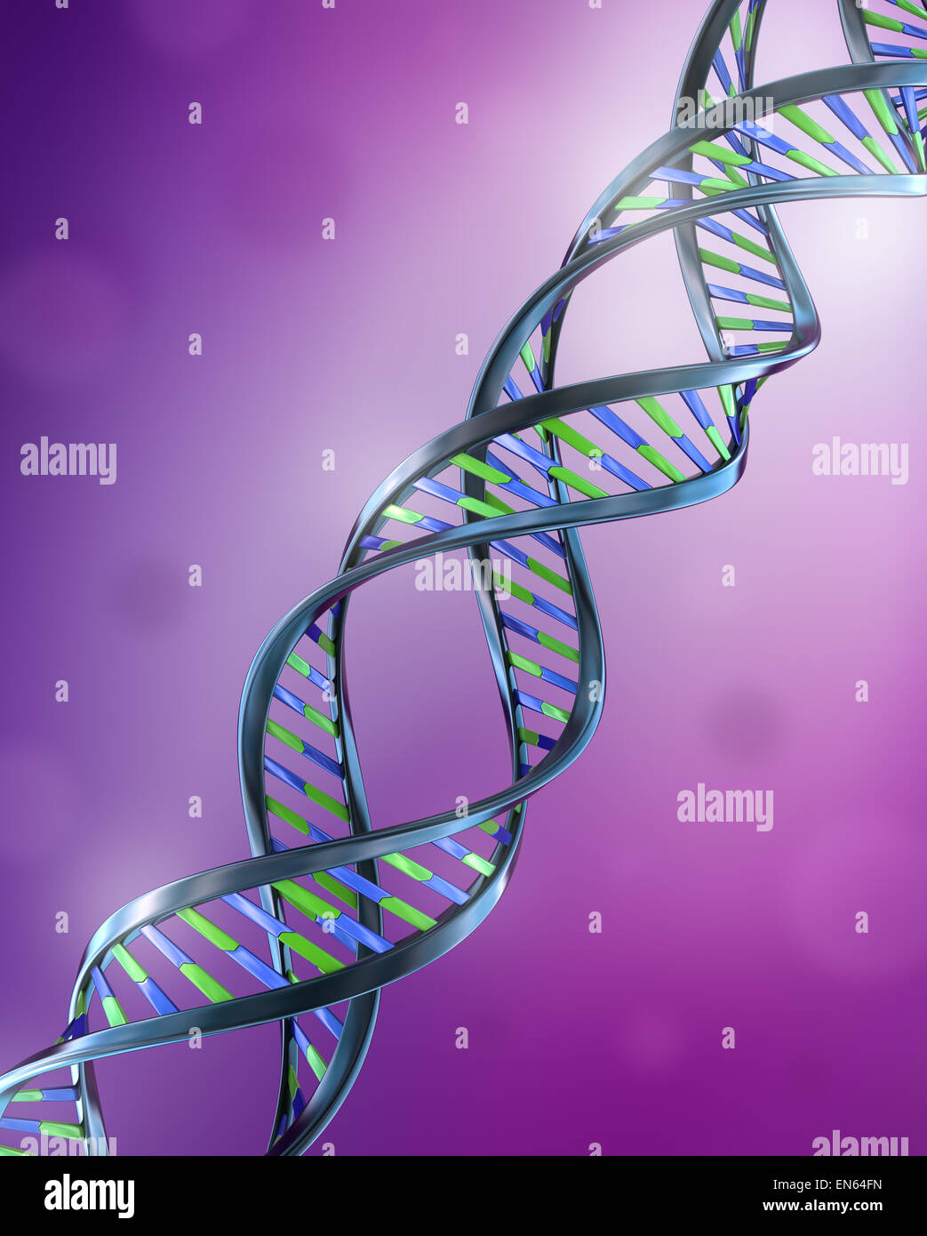 DNA Strands Simple and dual helix Stock Photo Alamy
