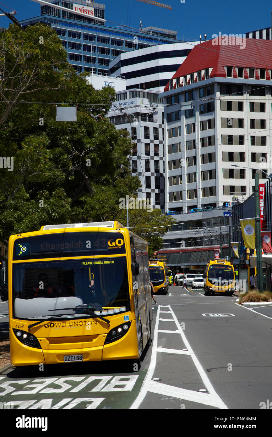 Buses, Lambton Quay, Wellington, North Island, New Zealand Stock Photo
