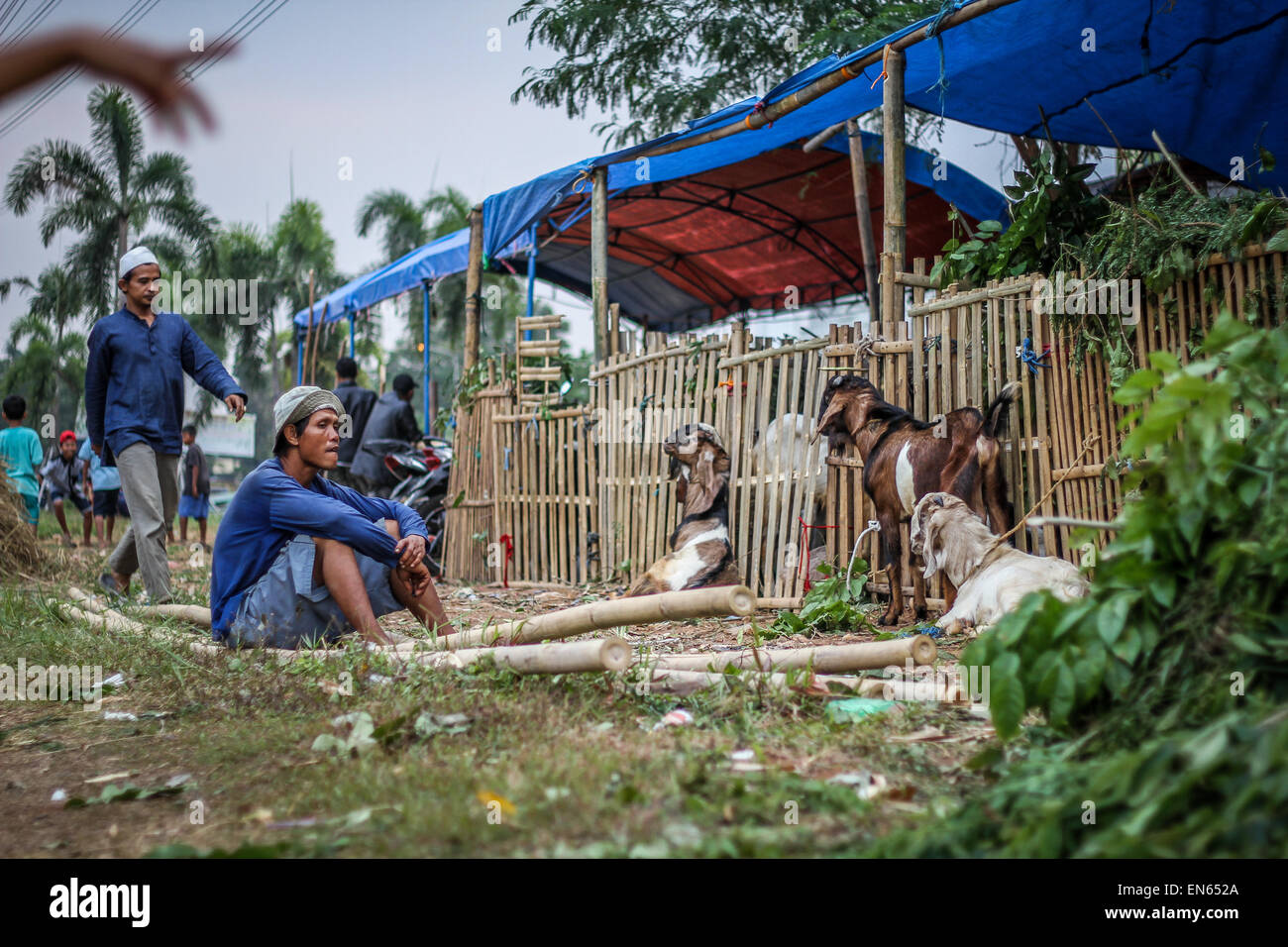 Tangerang, Indonesia. 28th Sep, 2014. A goat vendor waits for customers as goats are offered for sale for Eid al-Adha near to the Asmaul Husna Masjid. Eid al-Adha, also known as the Feast of Sacrifice, commemorates prophet Abraham's willingness to sacrifice his son as an act of obedience to God, who in accordance with tradition then provided a lamb in the boy's place. © Garry Andrew Lotulung/Pacific Press/Alamy Live News Stock Photo