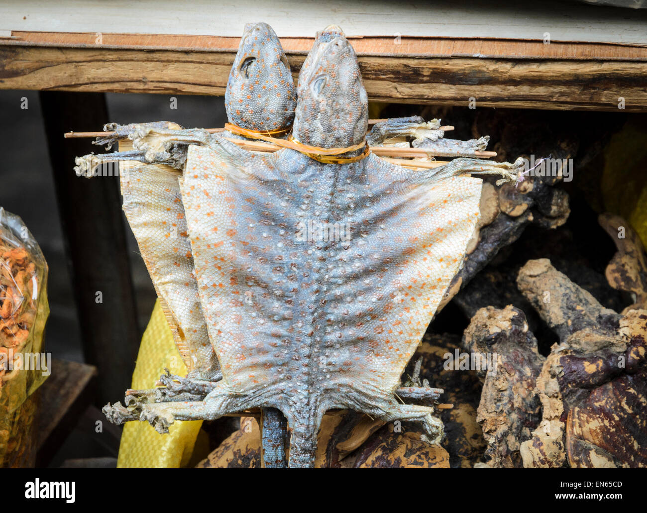 Two dried gliding lizards on sale at a market in China. They are probably flying dragons (Latin name: Draco). Dried food market; Qingping, Guangzhou. Stock Photo