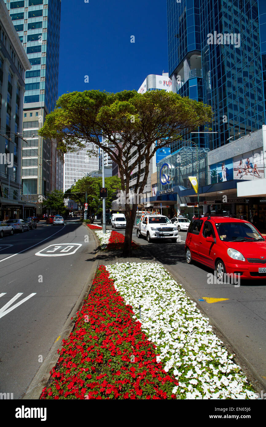 Flowers and office buildings, Lambton Quay, Wellington, North Island, New Zealand Stock Photo