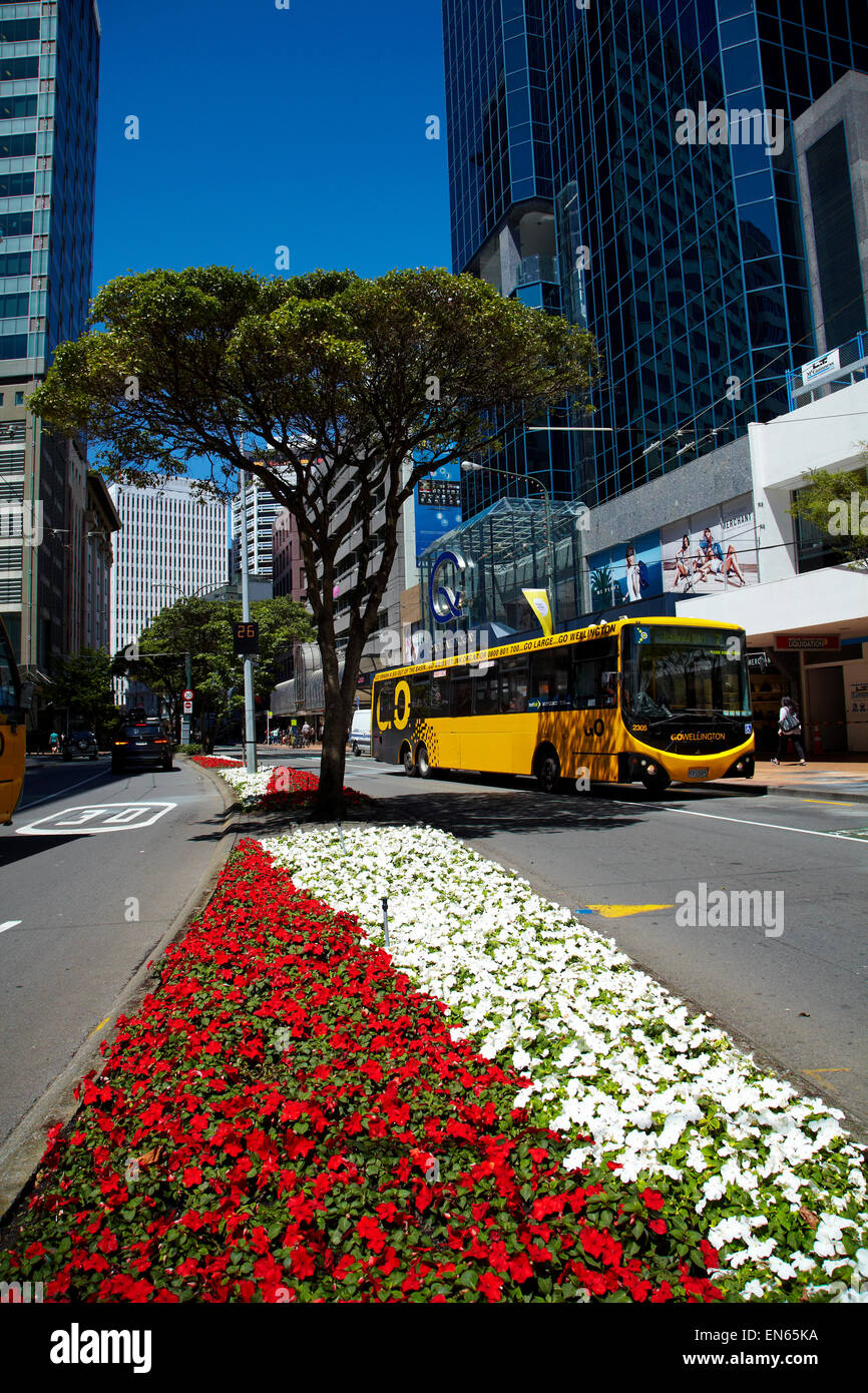 Flowers, office buildings, and bus, Lambton Quay, Wellington, North Island, New Zealand Stock Photo