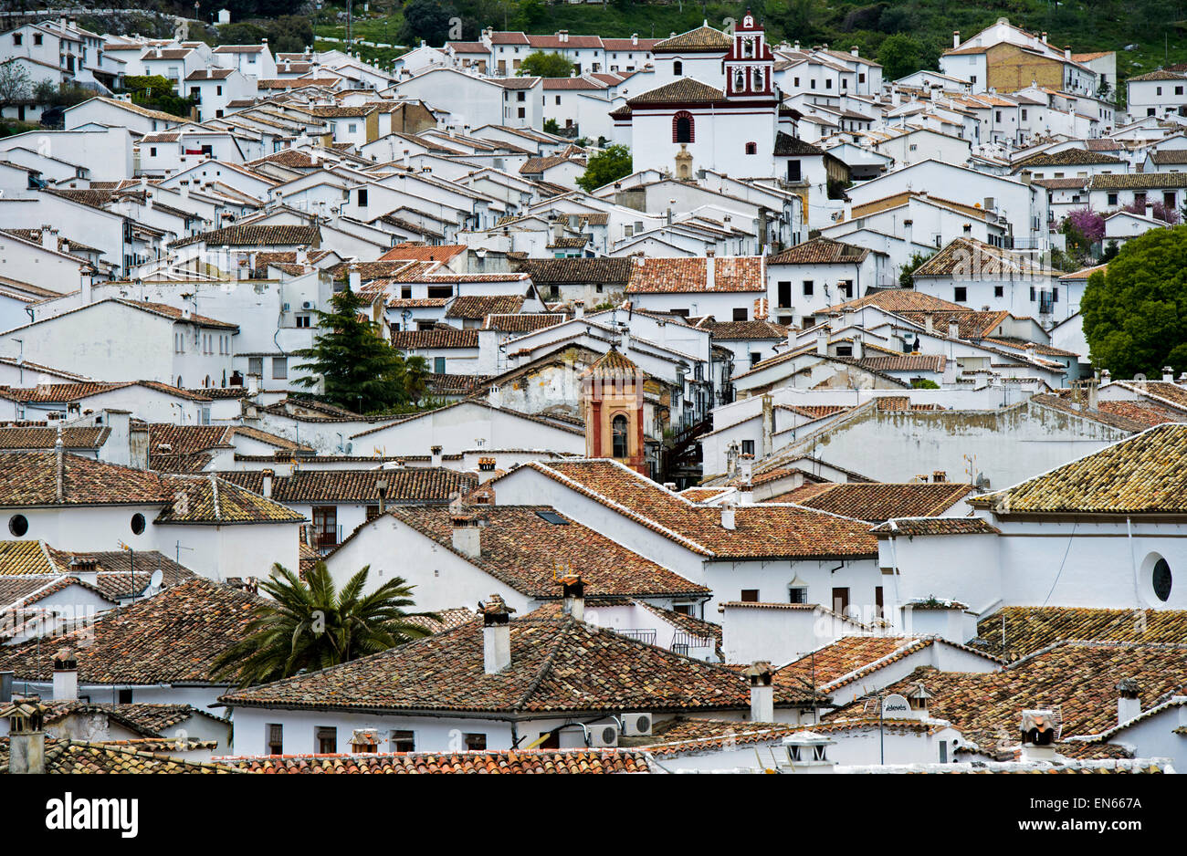 View across the roofs of the White Town, Pueblo Blanco, of Grazalema, Sierra de Grazalema, Cádiz province, Andalusia, Spain Stock Photo