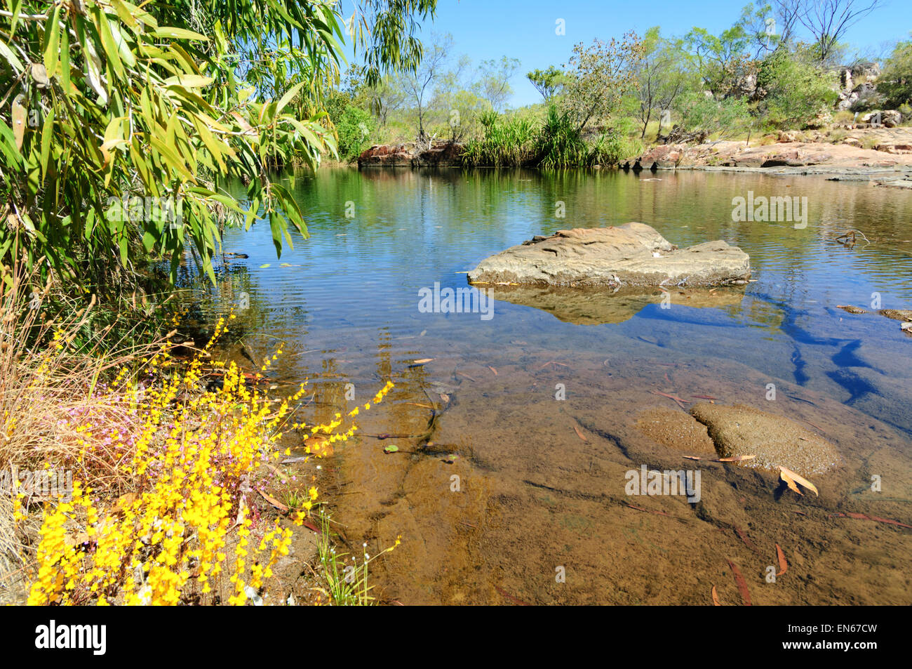 Creek, Mitchell Plateau, Kimberley, Western Australia, WA, Australia Stock Photo