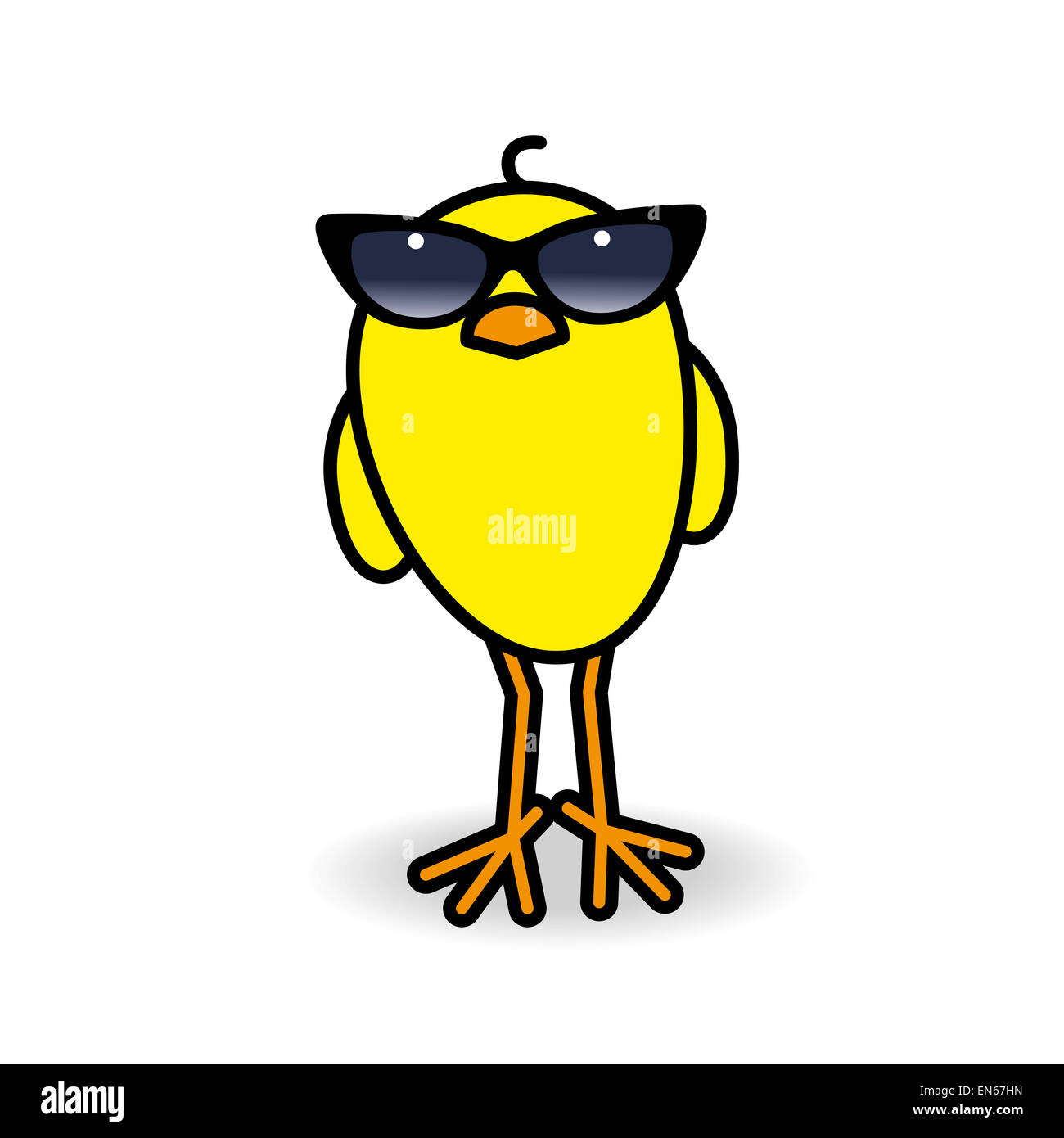 Single Yellow Chick Wearing Ladies Black Rimmed Sunglasses Staring towards camera on White Background Stock Photo