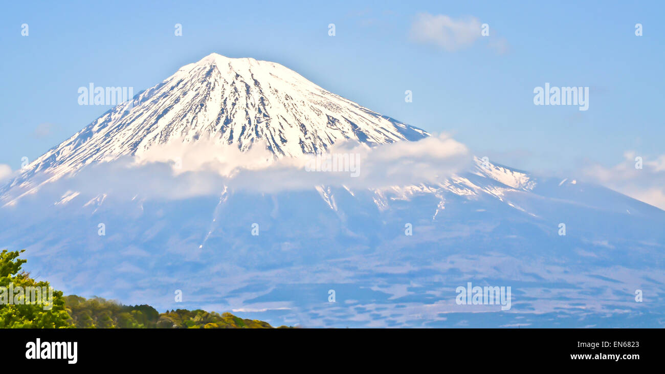 Mt Fuji view  panplama Stock Photo
