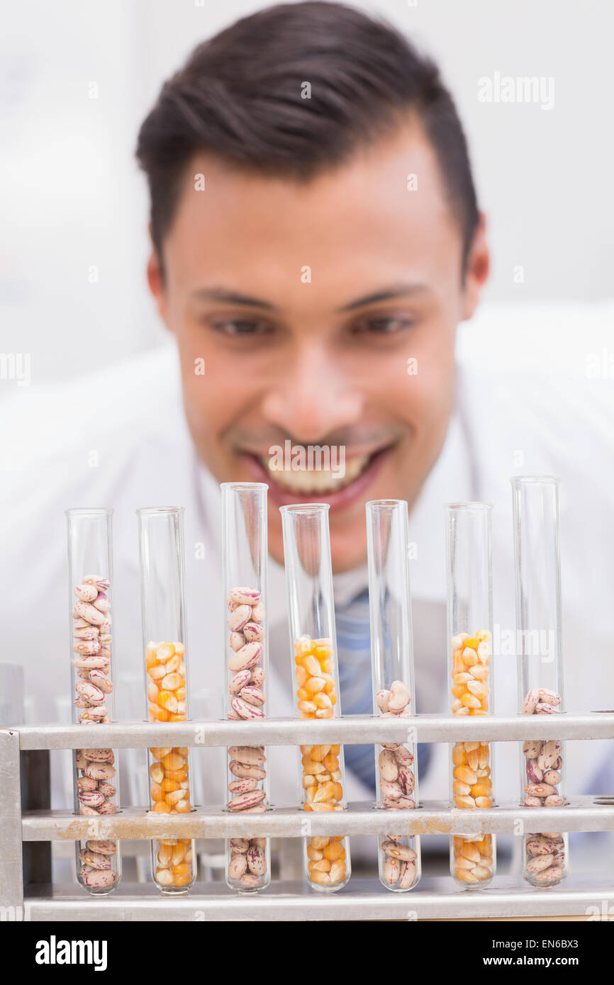 Happy scientist looking at tubes of corn and kernel Stock Photo