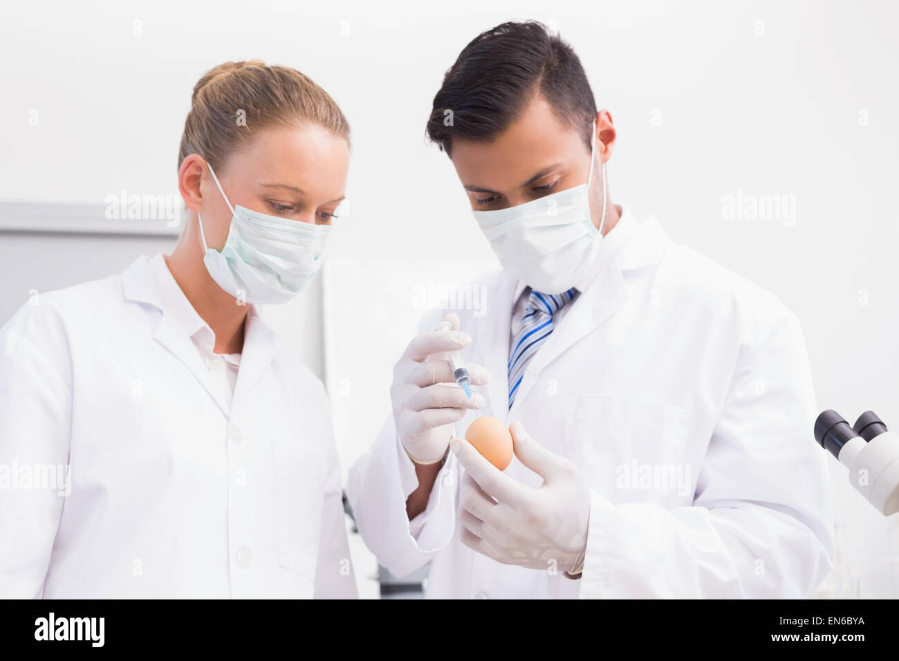 Science Injection Photo Scientists injecting an egg Stock Photo - Alamy