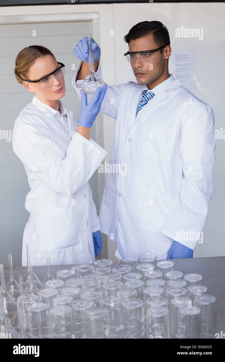 Concentrated scientists looking at beaker Stock Photo Alamy