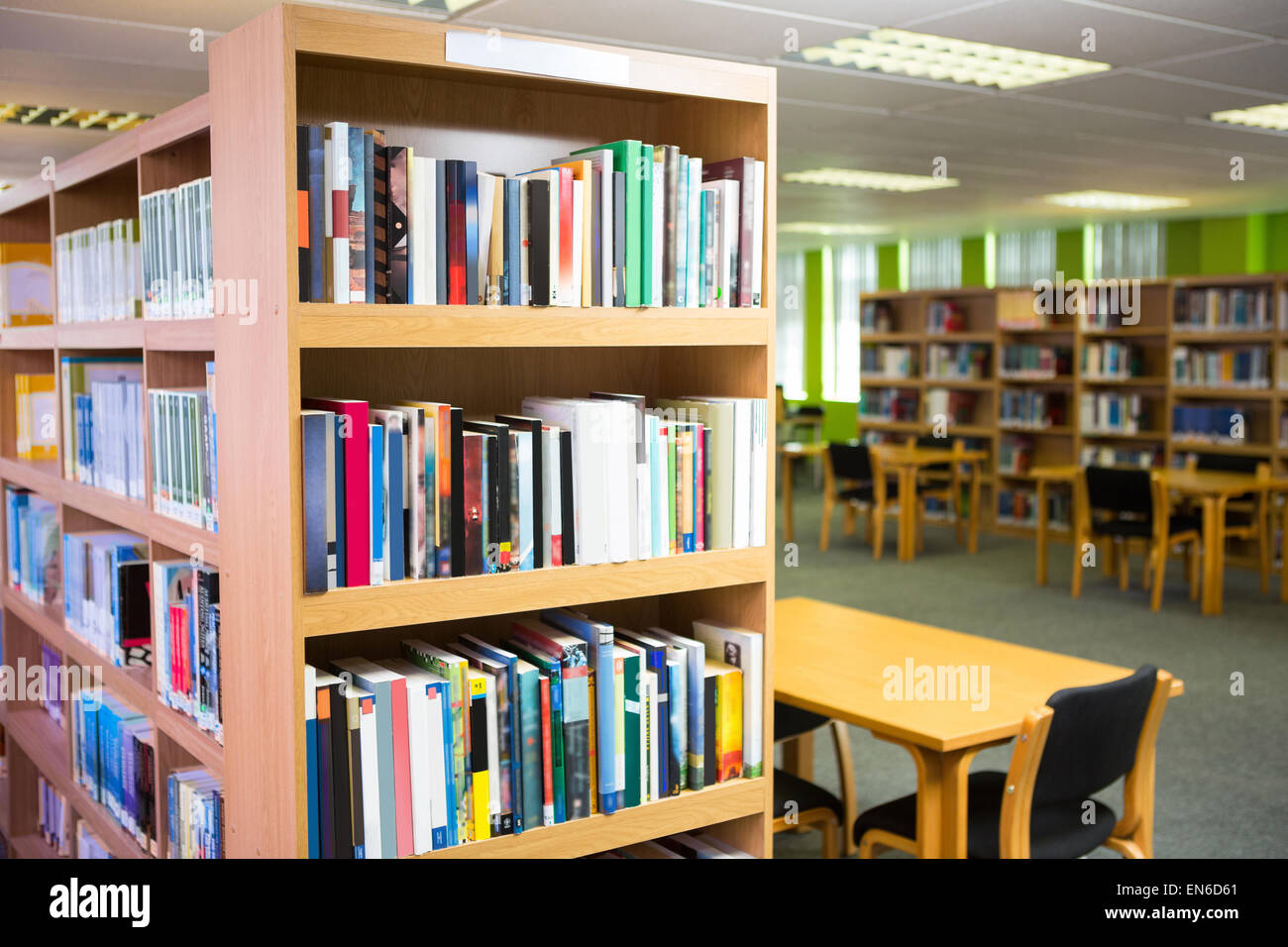 Volumes of books on bookshelf in library Stock Photo