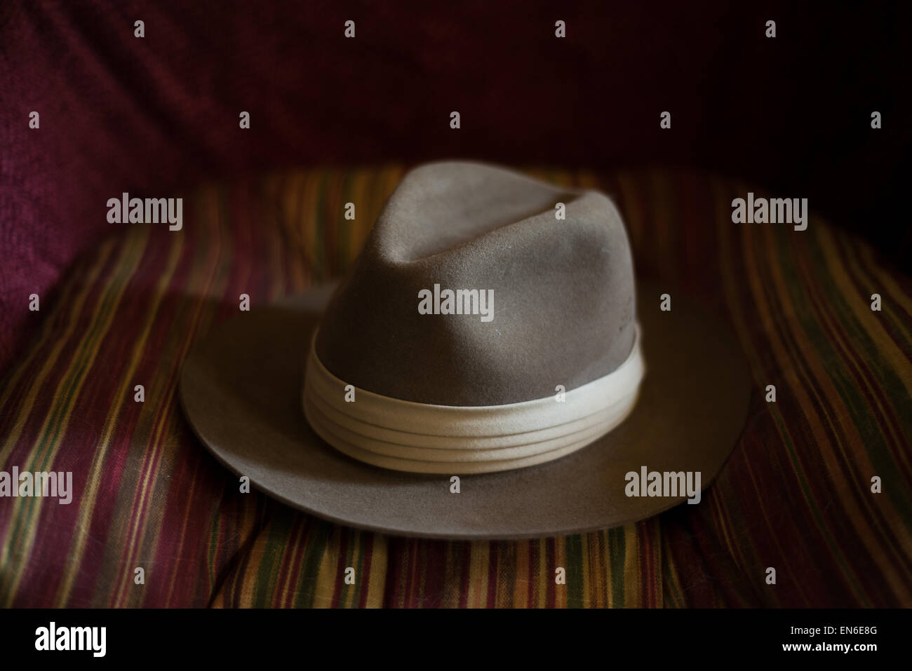 Men's fedora hat Stock Photo