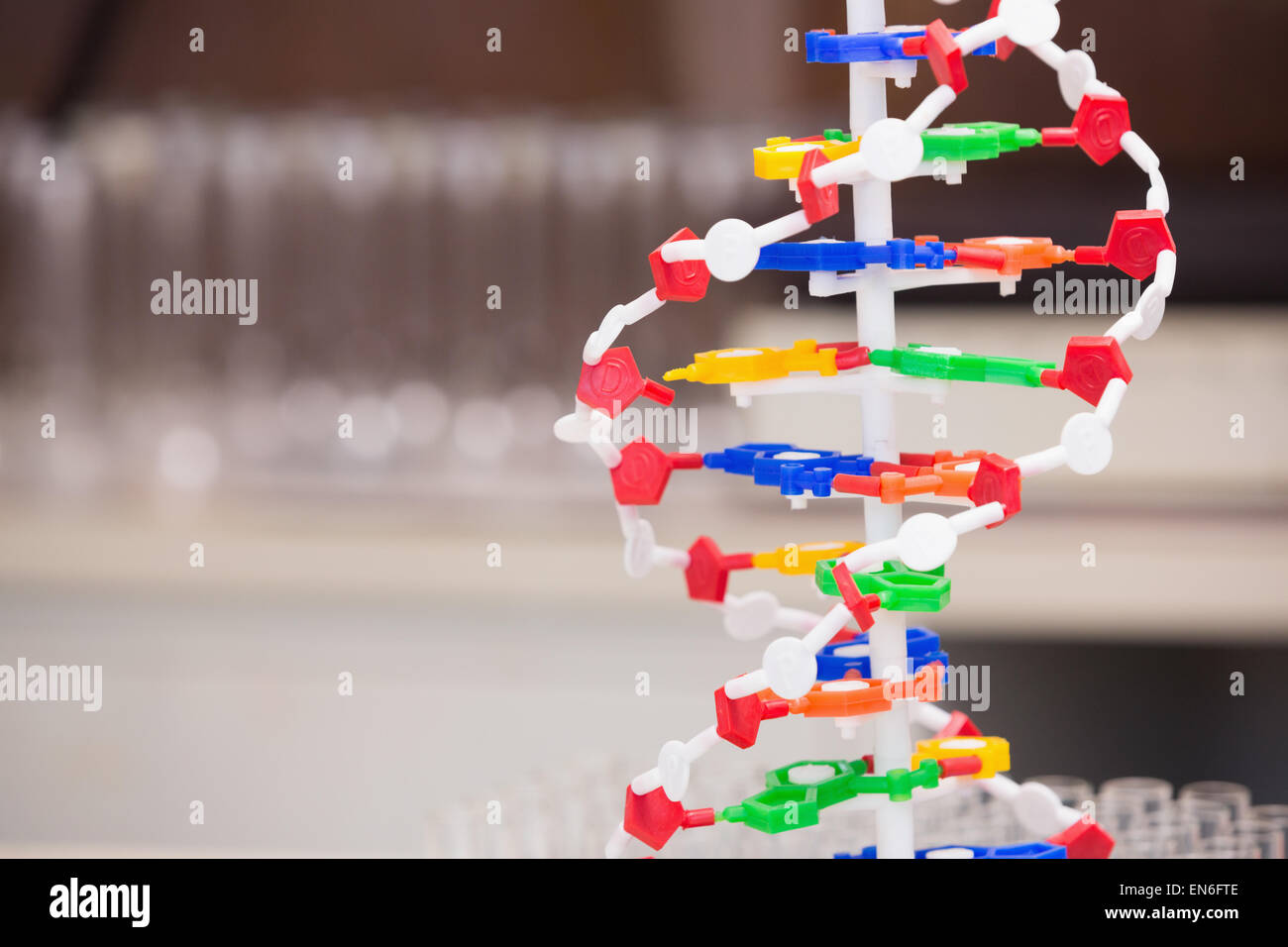 Helix model hi-res stock photography and images - Alamy