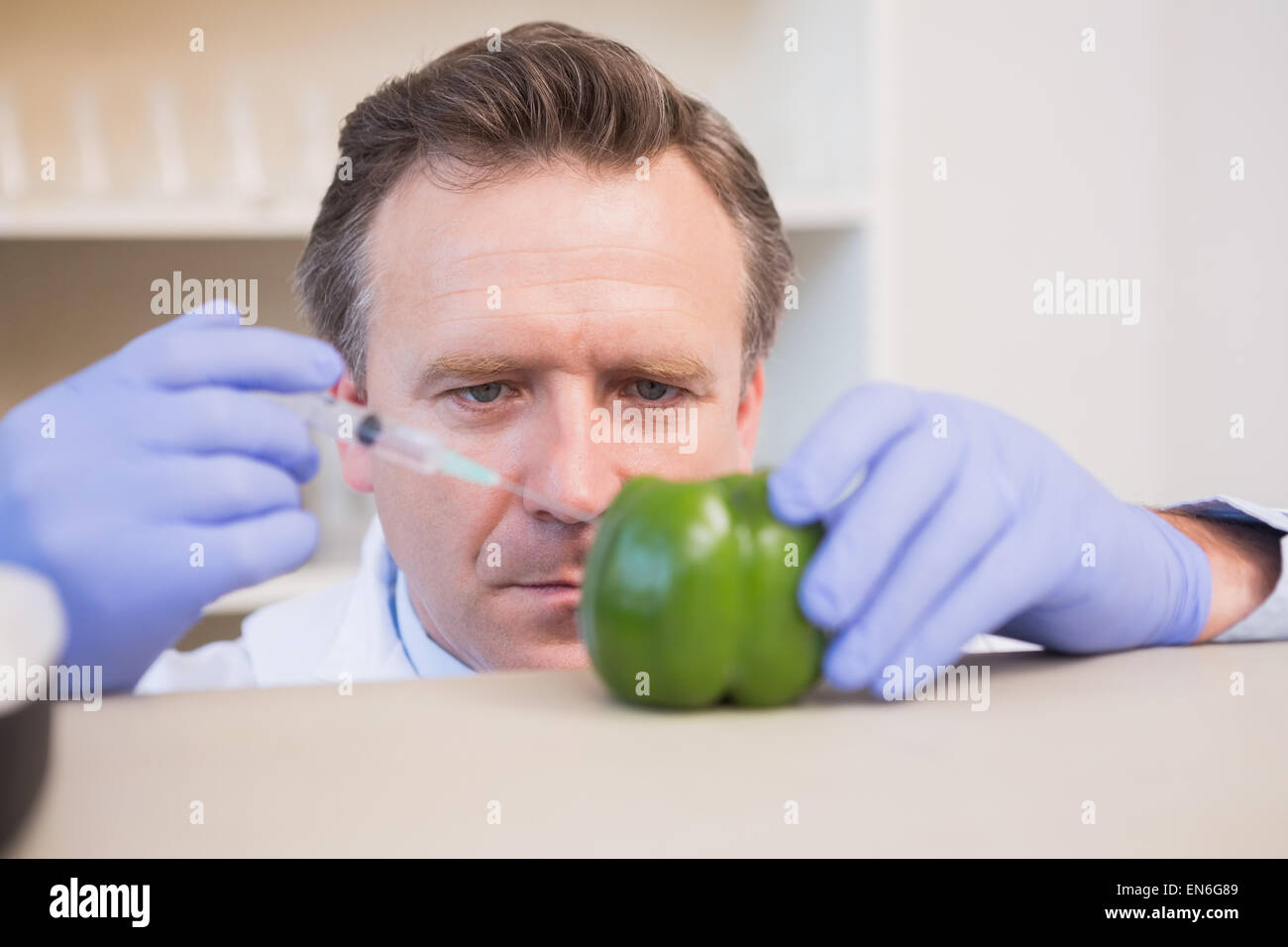 Scientist injecting sweet pepper Stock Photo