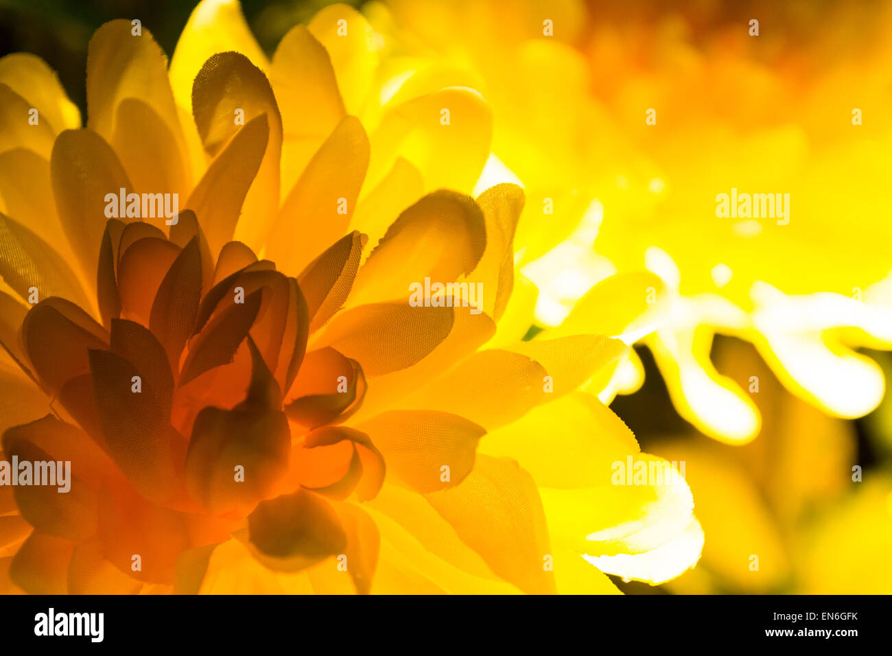Plastic flower with yellow light Stock Photo Alamy