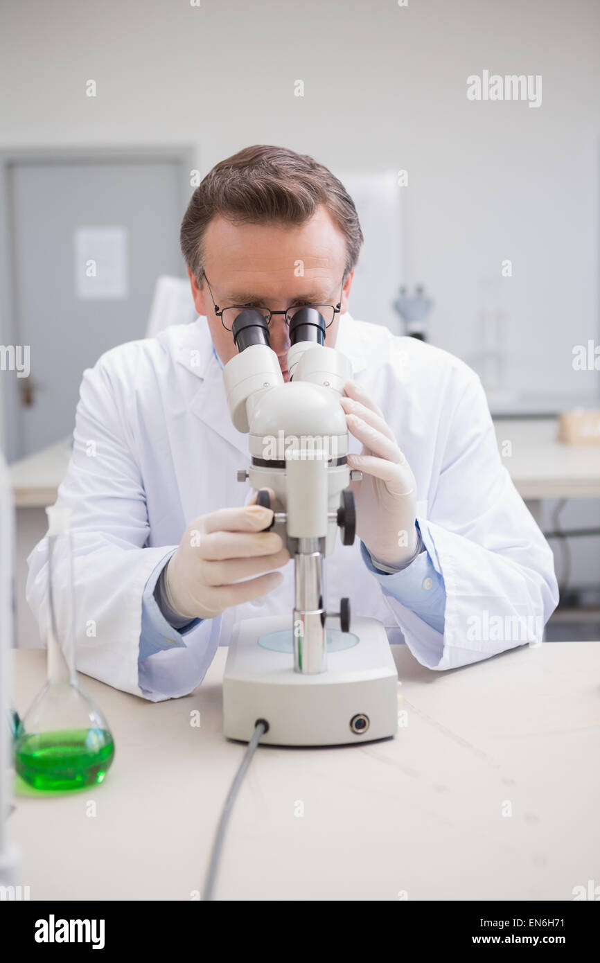 Scientist examining petri dish with microscope Stock Photo - Alamy