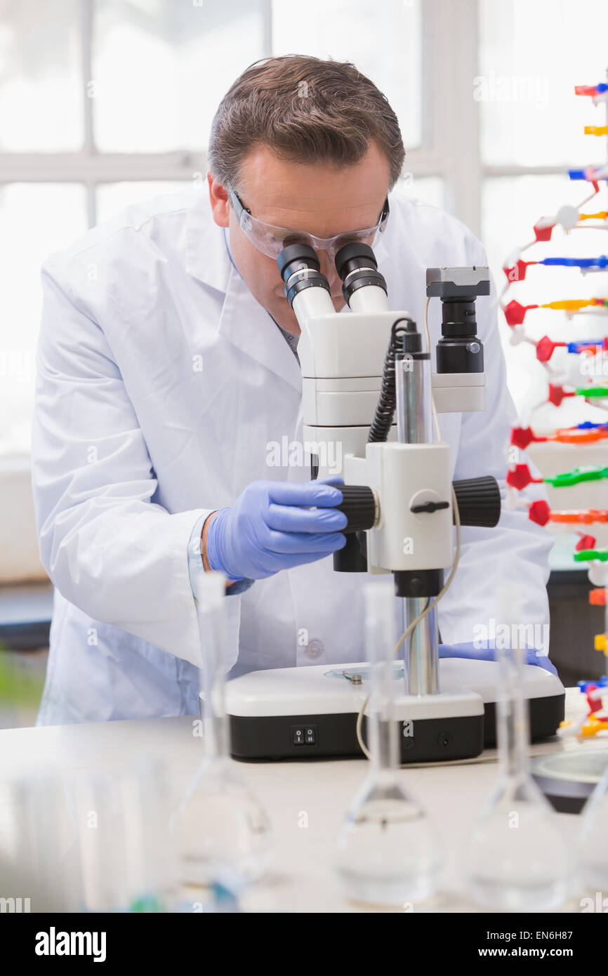 Scientist analysing petri dish with the microscope Stock Photo - Alamy