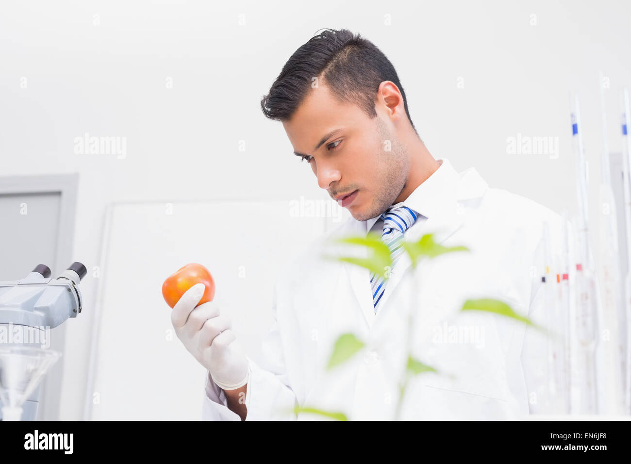 Perplex scientist looking at tomato Stock Photo