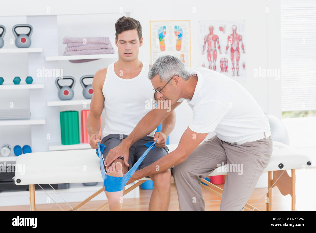 Doctor examining his patient back legs Stock Photo