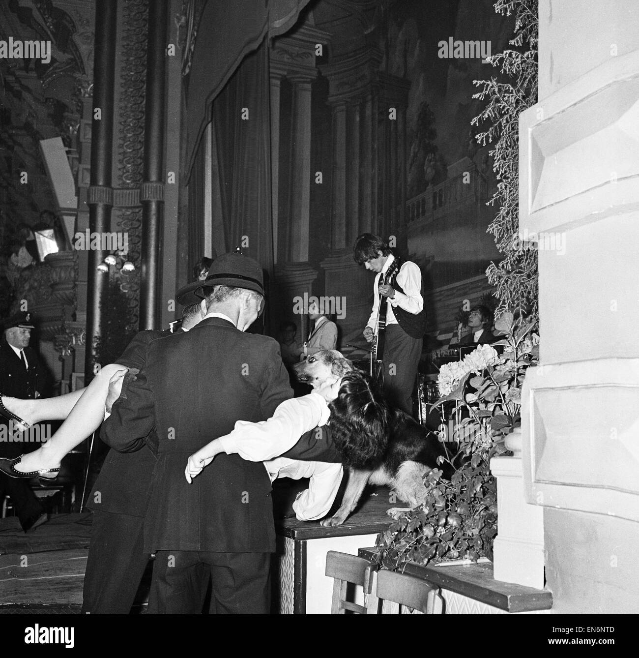 The Rolling Stones performing at The Palace Ballroom in Douglas, Isle of Man A fainted female fan is carried off by the police. 13th August 1964. Stock Photo