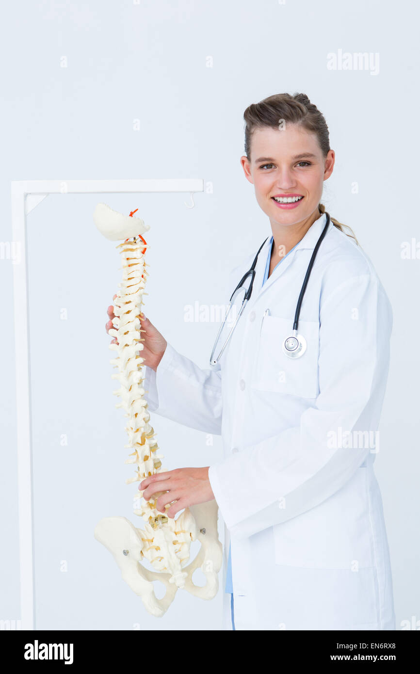 Doctor holding an anatomical spine Stock Photo