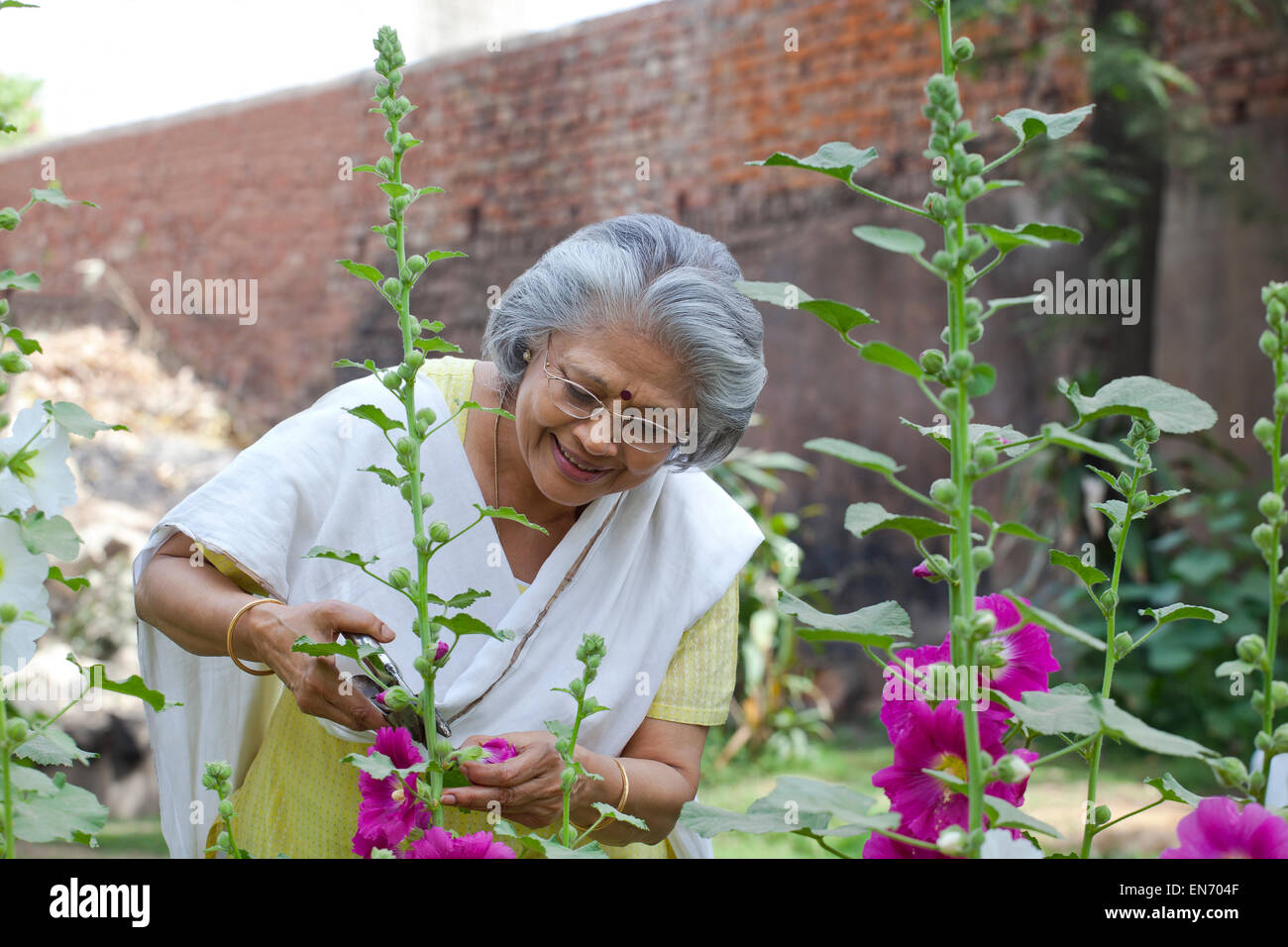 Senior woman tending her garden Stock Photo