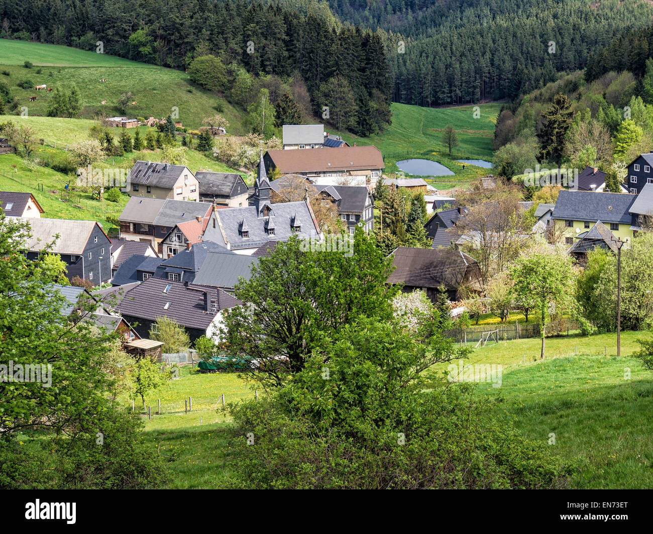 View to a village in the Thuringian Forest (Germany) Stock Photo