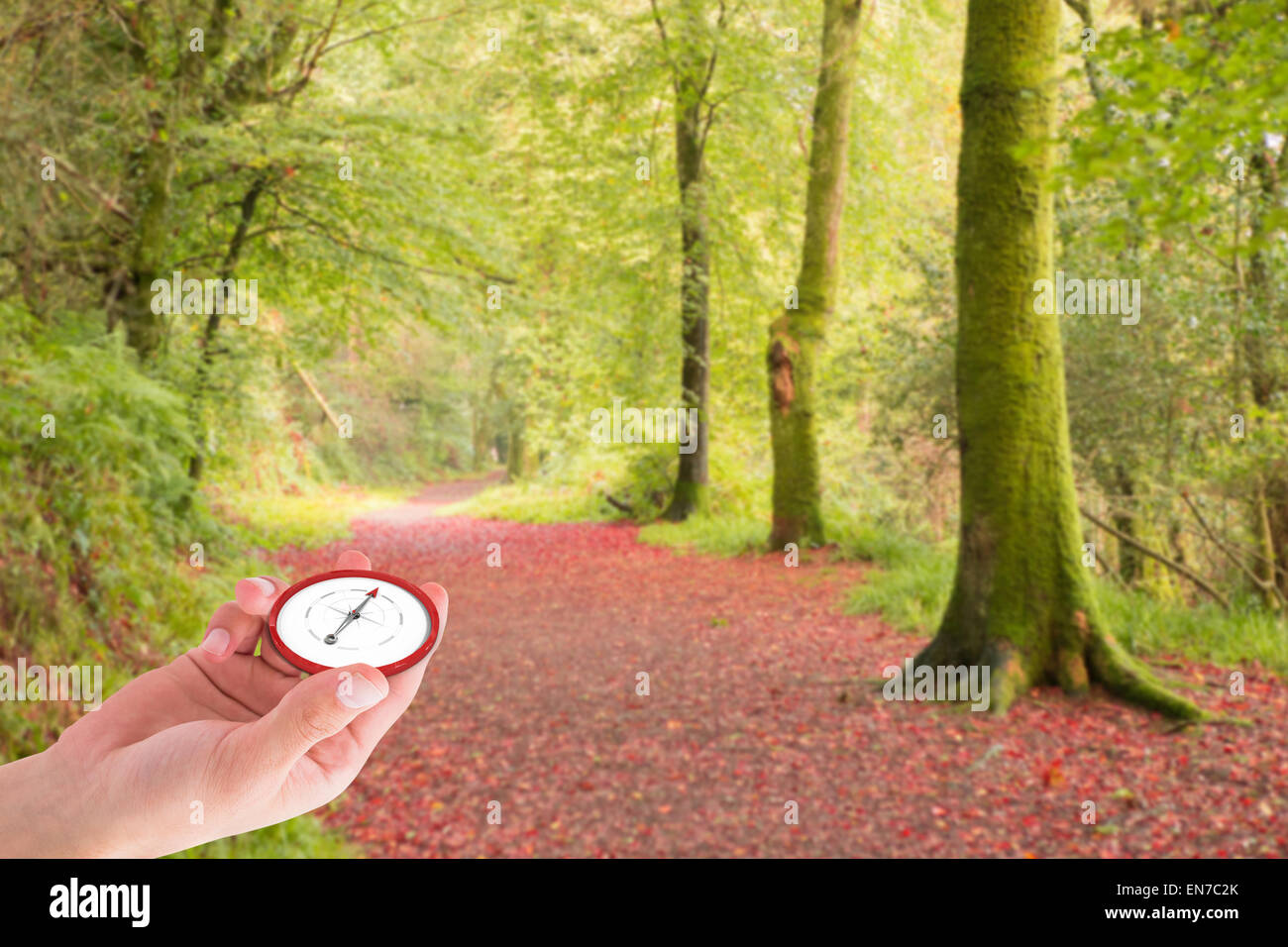 Composite image of hand presenting compass Stock Photo