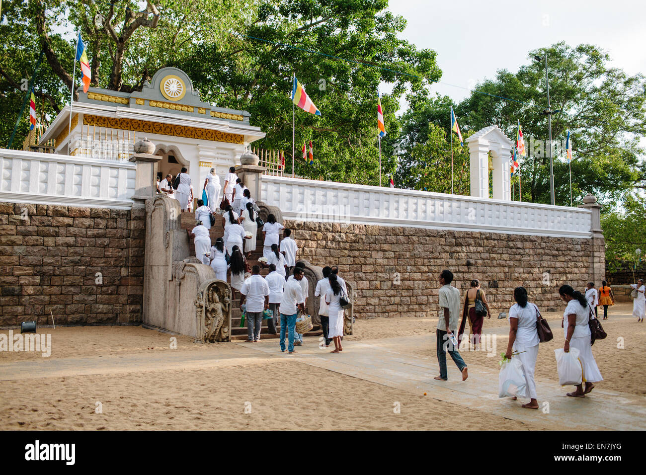 Sri Maha Bodhi, a major Buddhist religious site, in Anuradhapura, Sri Lanka. Stock Photo