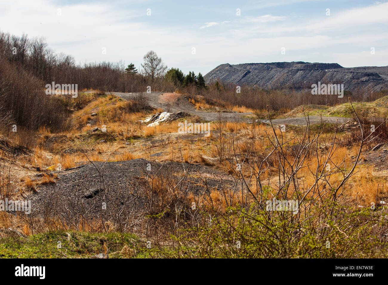 Fire damaged Hillside in Centralia, Pennsylvania where a mine fire that began in 1962 continues to burn to this day. Stock Photo