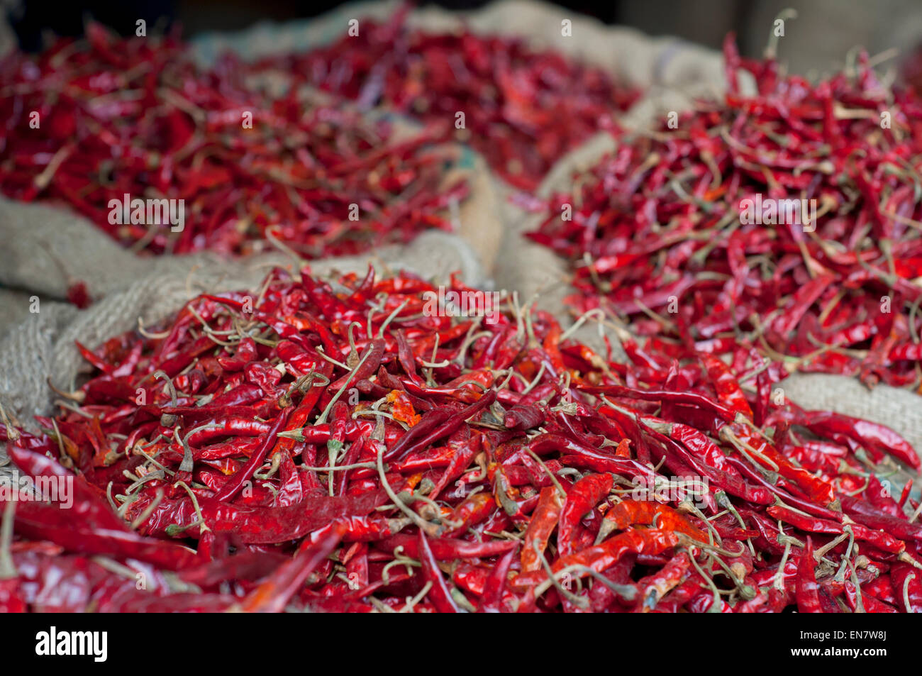 Dried red chillies for sale at the market Stock Photo Alamy