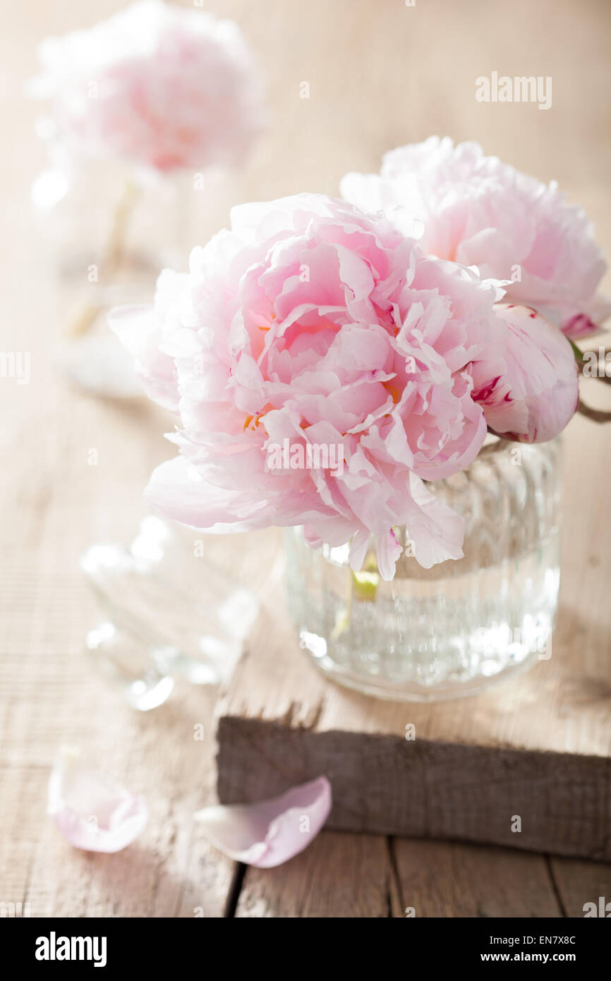 beautiful pink peony flowers bouquet in vase Stock Photo - Alamy
