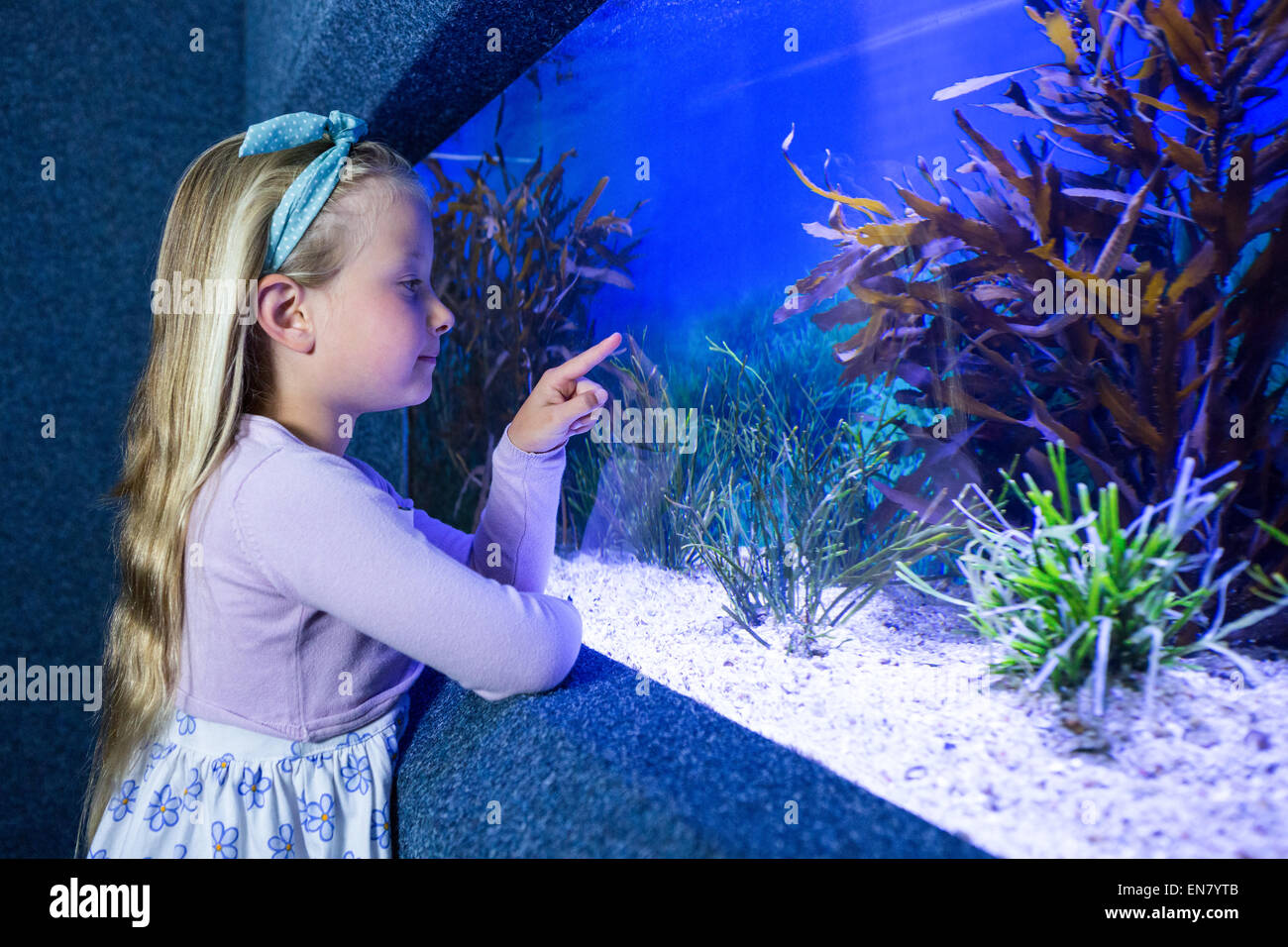 Young woman pointing fish in tank Stock Photo