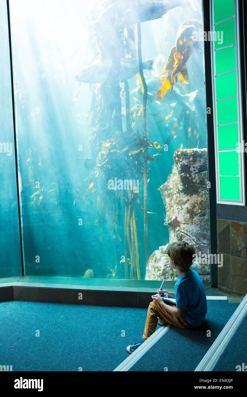 young man drawing a fish in a tank EN83JP