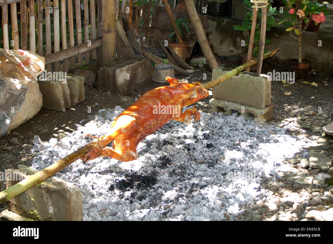 A whole pig being spit roast over charcoal. Stock Photo