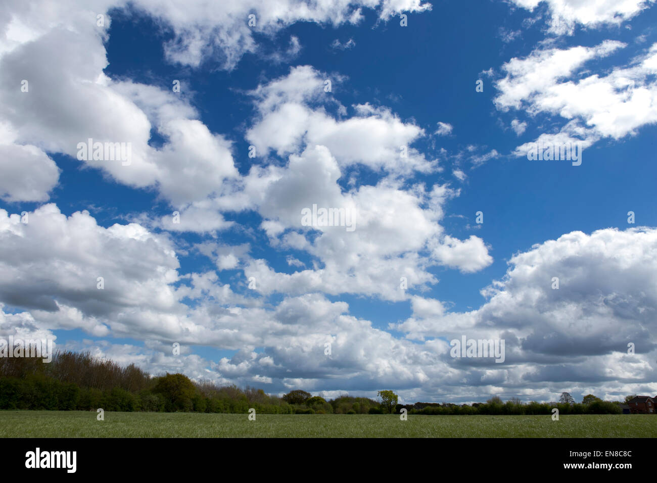 Clear blue sky green grass hi-res stock photography and images - Alamy