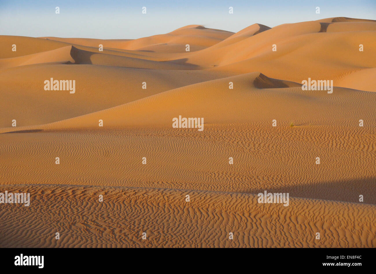 Contours of sand dunes at Liwa, Abu Dhabi, UAE Stock Photo