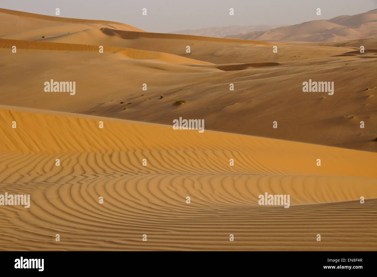 Contours of sand dunes at Liwa, Abu Dhabi, UAE Stock Photo
