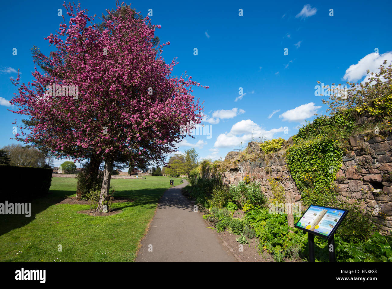 Abbey Park in Leicester, Leicestershire England UK Stock Photo Alamy