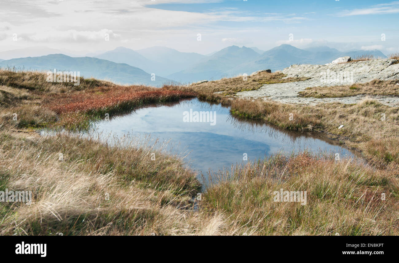 Ben Lomond landscape with water and vegetation with a view on the hills in the background Stock