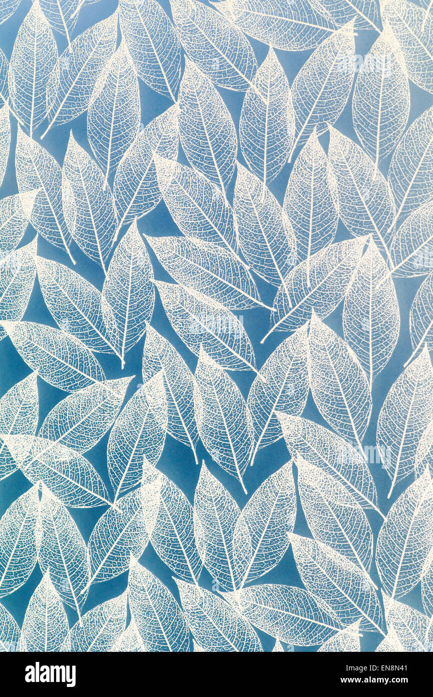 Pattern of leaves on a frosted bathroom window mylar film cover screen Stock Photo