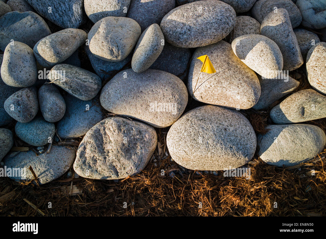 River rocks used as landscaping stones in the garden of a Craftsman Style residential home in Colorado, USA Stock Photo
