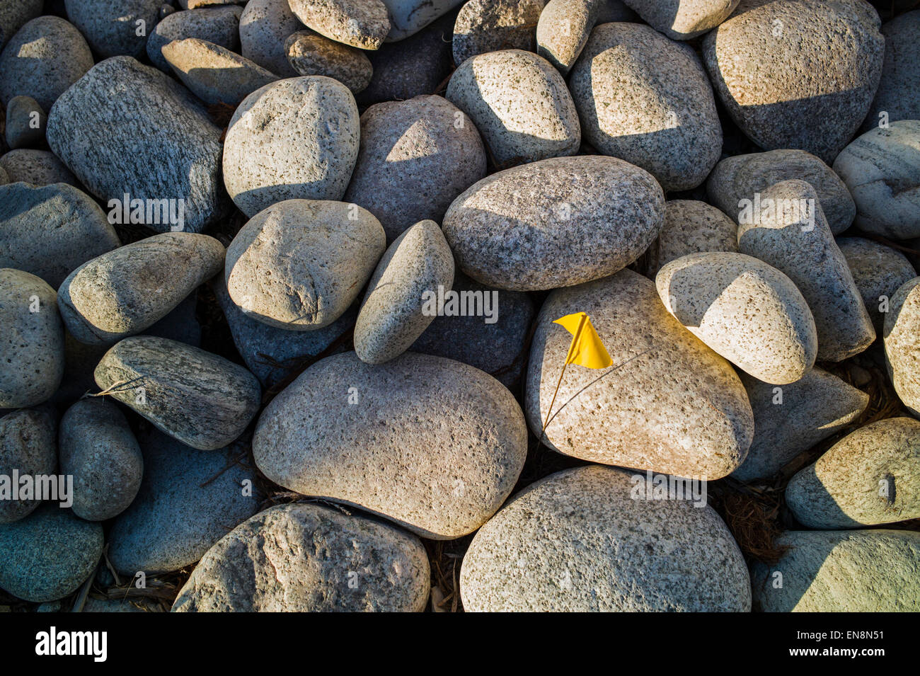 River rocks used as landscaping stones in the garden of a Craftsman