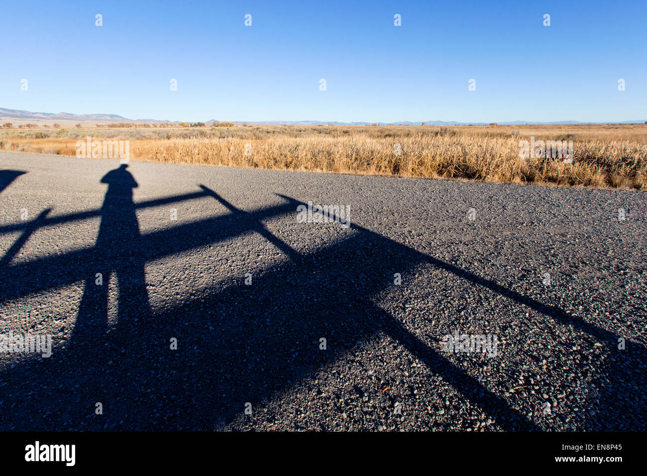 Self portrait of photographer's shadow on gravel road near Monte Vista, Colorado, USA Stock Photo