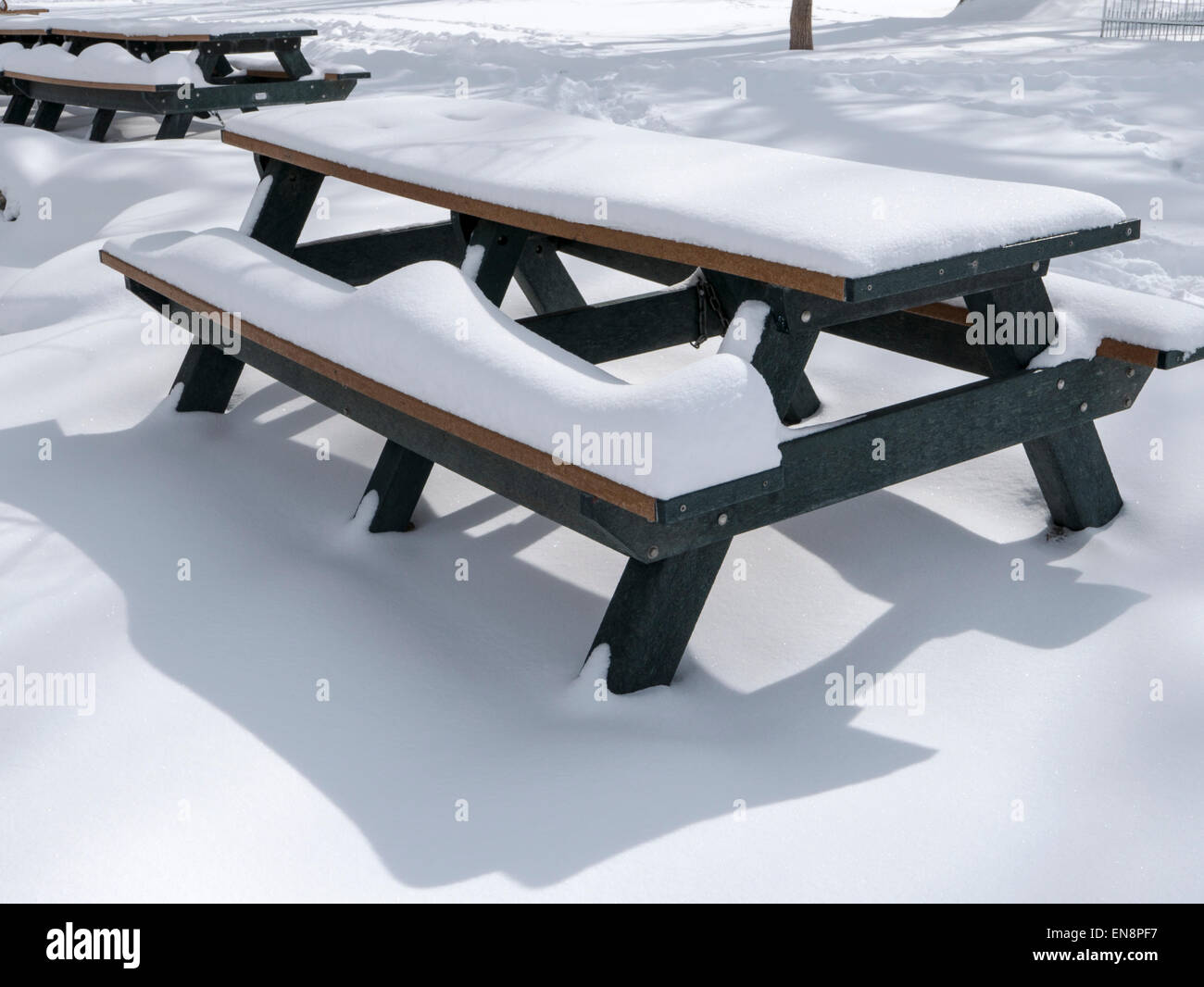 Fresh snow covered picnic table, Riverside Park, Salida, Colorado, USA Stock Photo