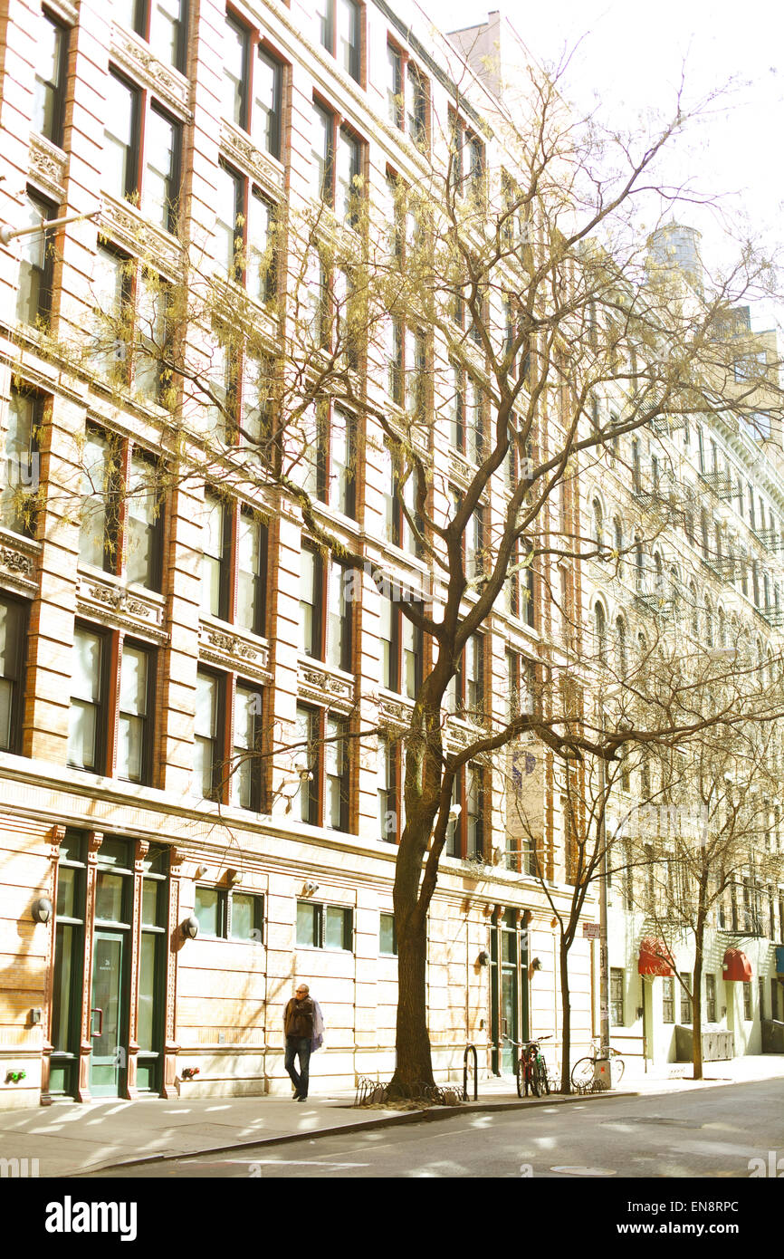 A man walks under a tree on the sidewalk of a city street in the afternoon sunshine. Stock Photo