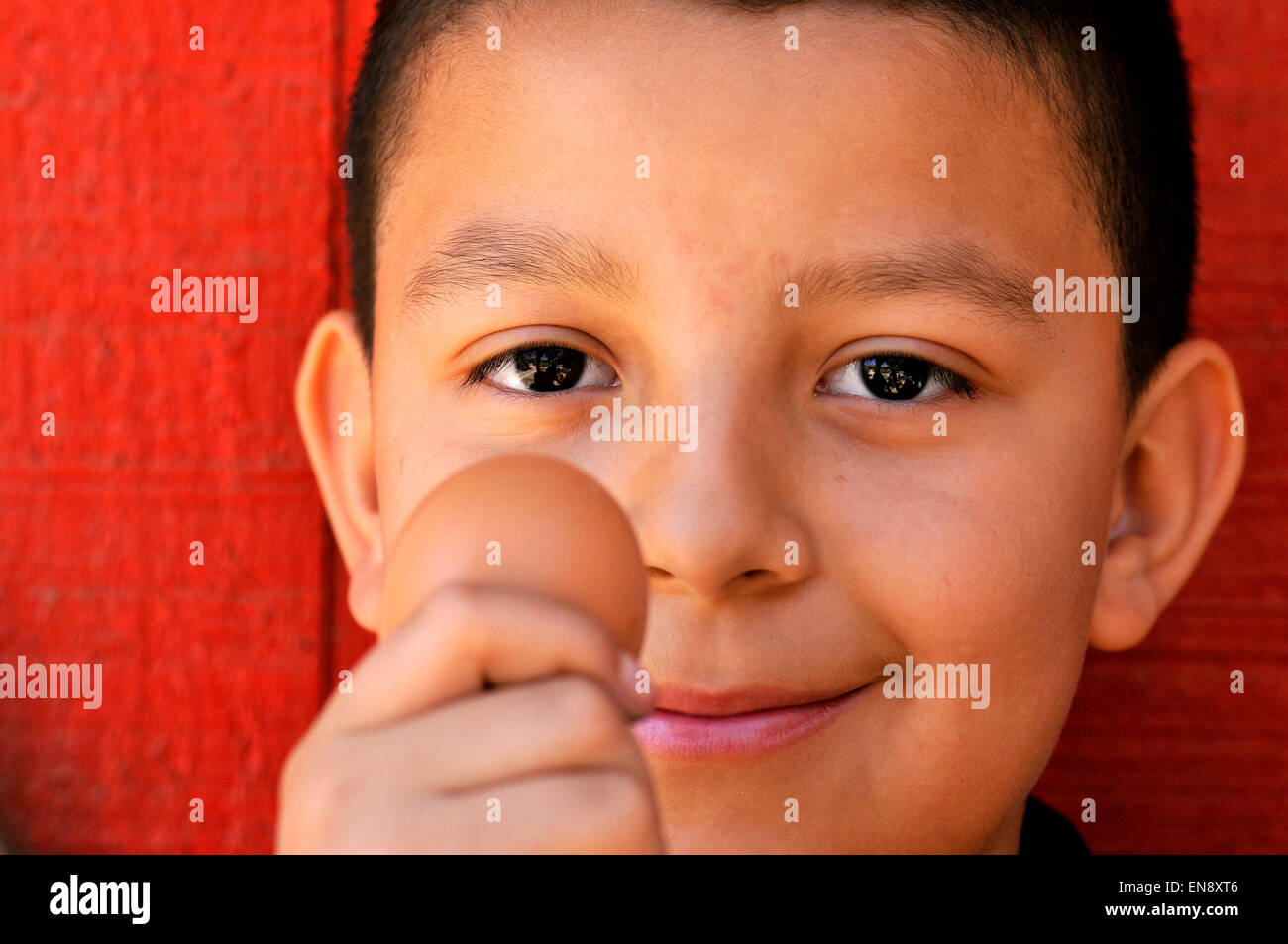 Tucson, Arizona, USA. 29 April, 2015: Fourth-grader, Gabriel Lopez, 10, holds an egg gathered from chickens at the garden at Manzo Elementary School, Tucson, Arizona, USA.  The school was the first in TUSD to be certified for garden to cafeteria food consumption and first in the state of Arizona for rainwater harvesting and composting.  Garden projects in the district work with internationally known Biosphere2 and the University of Arizona. The garden was built in conjunction with the National Park Foundation's First Bloom program. Credit:  Norma Jean Gargasz/Alamy Live News Stock Photo