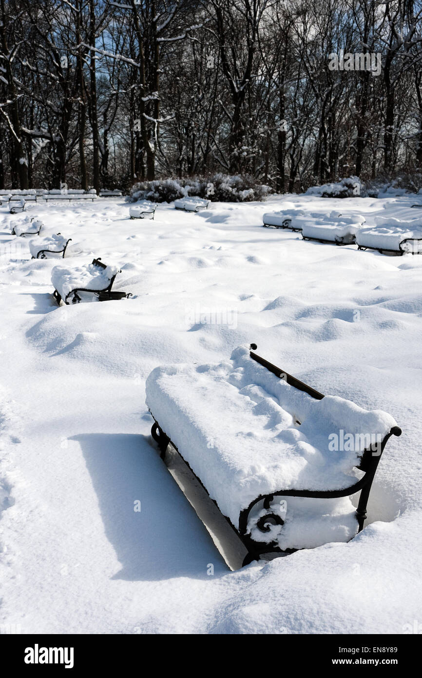 Snow covered benches, snowbanks Stock Photo