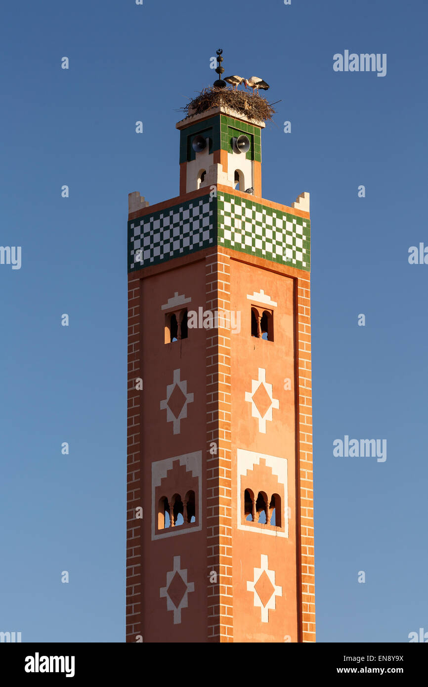 Minaret and storks (Ciconia ciconia). Ait Ben Haddou. Morocco. North Africa. Africa Stock Photo